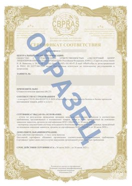 Образец Сертификат СТО 01.064.00220722.2-2020 Саракташ Сертификат СТО 01.064.00220722.2-2020 
