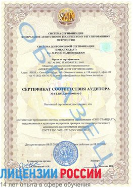 Образец сертификата соответствия аудитора №ST.RU.EXP.00006191-3 Саракташ Сертификат ISO 50001