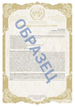 Образец Приложение к СТО 01.064.00220722.2-2020 Саракташ Сертификат СТО 01.064.00220722.2-2020 